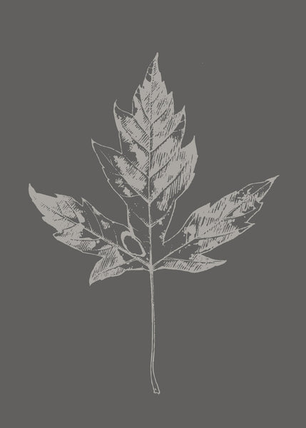 Botanica-5 | POSTERBAND