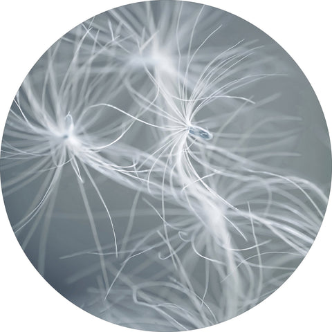 Traumweberblau | CIRCLE ART