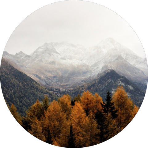 Bischof 17 | CIRCLE ART