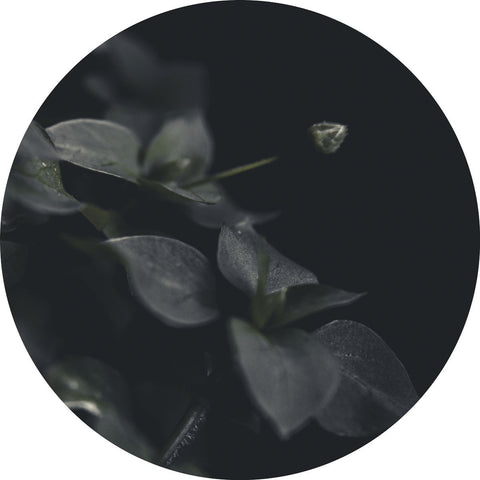Geheimnis 9 | CIRCLE ART