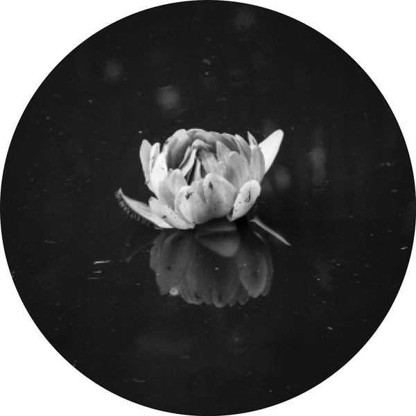 Schwimmend 2 | CIRCLE ART