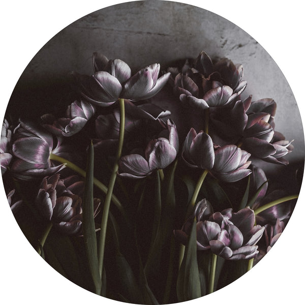 Dunkle Tulpen | CIRCLE ART