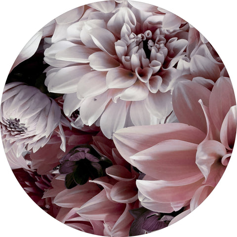 Opulent 8 | CIRCLE ART