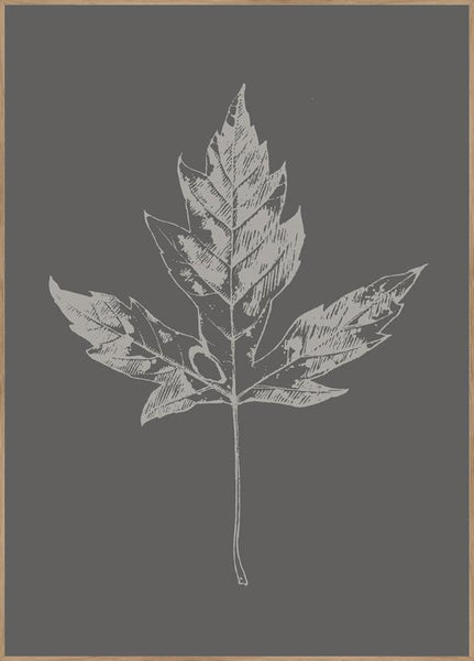 Botanica-5 | POSTERBAND
