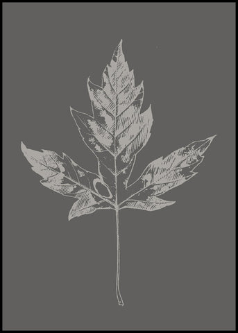 Botanica-5 | POSTERBAND