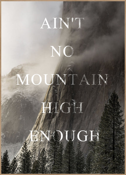 Bischof 2 | Plakatbrett