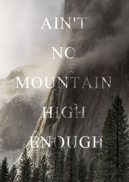 Bischof 2 | Plakatbrett