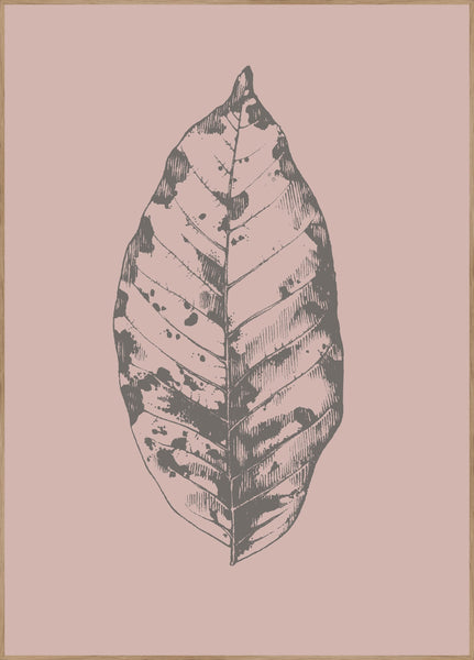Botanica-1 | Plakatbrett