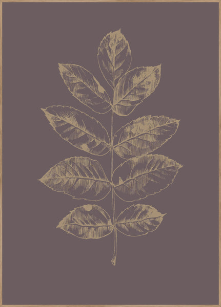 Botanica-2 | POSTERBAND