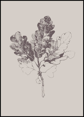 Botanica-3 | POSTERBAND