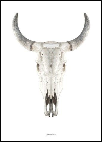 Kuhschädel | Plakatbrett