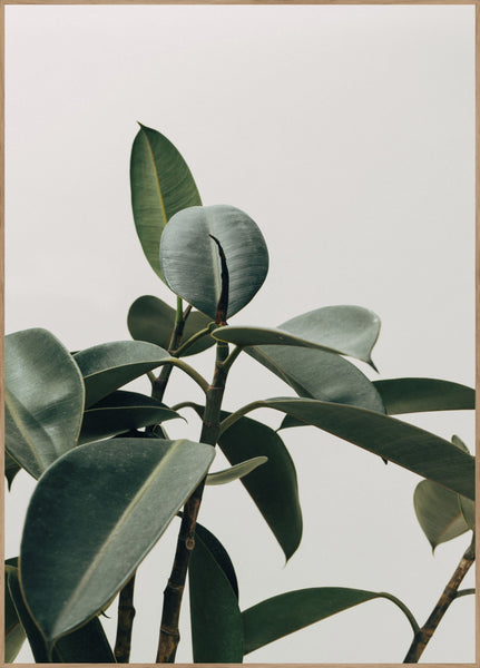 Ecologique | POSTERBAND