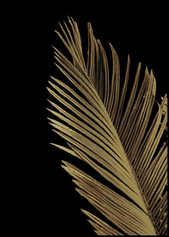Goldene Palme 1 | POSTERBAND