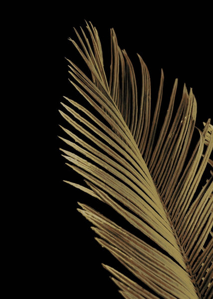 Goldene Palme 1 | POSTER