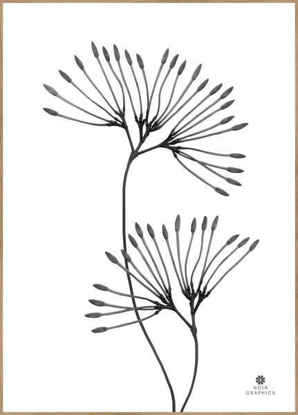 Gnade | POSTERBAND