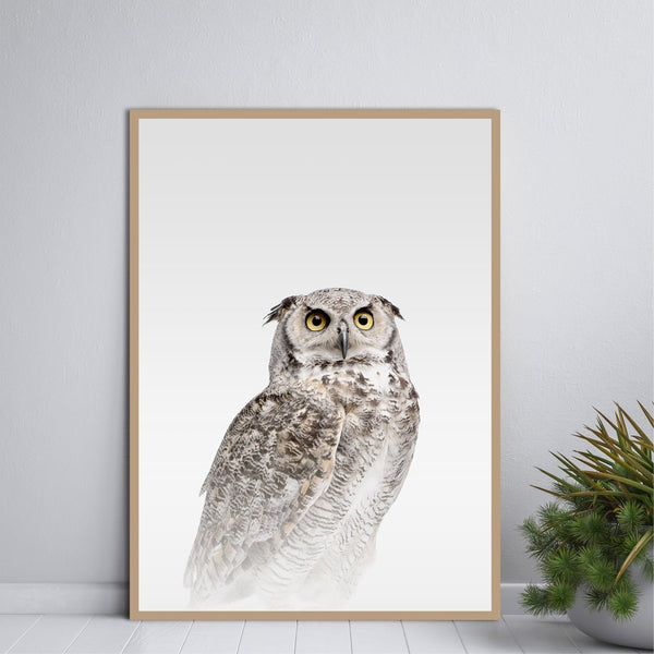 Nebeleule | POSTER