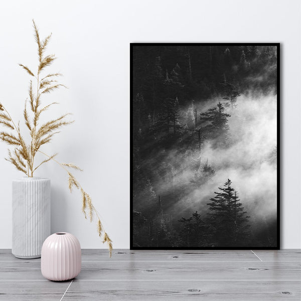 Nebliger Kiefernwald | POSTER