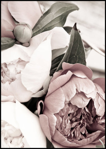 Opulent 1 | Plakatbrett