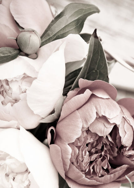 Opulent 1 | Plakatbrett