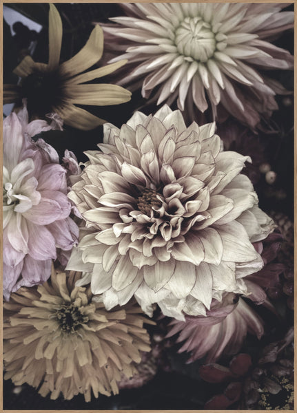 Opulent 5 | POSTERBAND