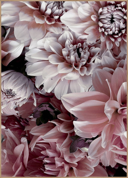 Opulent 8 | POSTERBAND