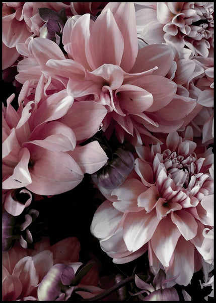 Opulent 9 | Plakatbrett