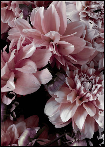 Opulent 9 | Plakatbrett