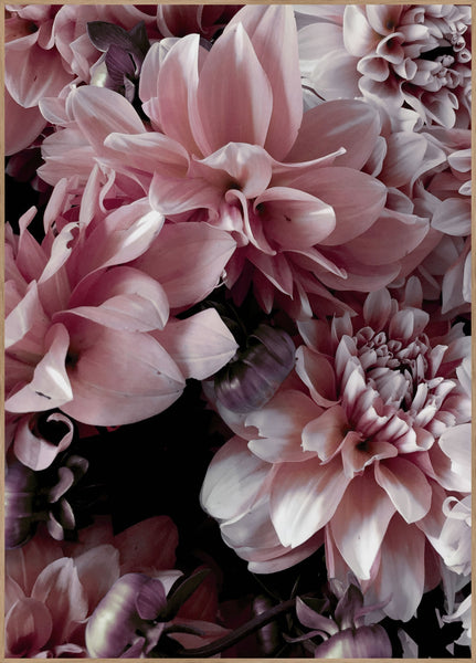 Opulent 9 | Plakatbrett