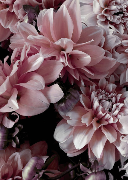 Opulent 9 | Plakatbrett