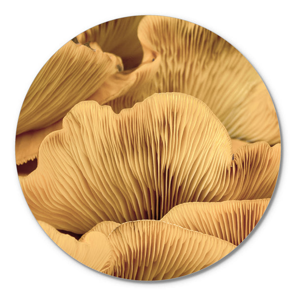 Organische Linien 1 | CIRCLE ART