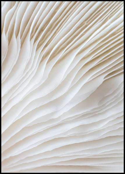 Organische Linien 2 | POSTERBAND