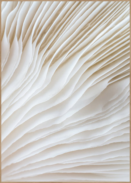 Organische Linien 2 | POSTERBAND