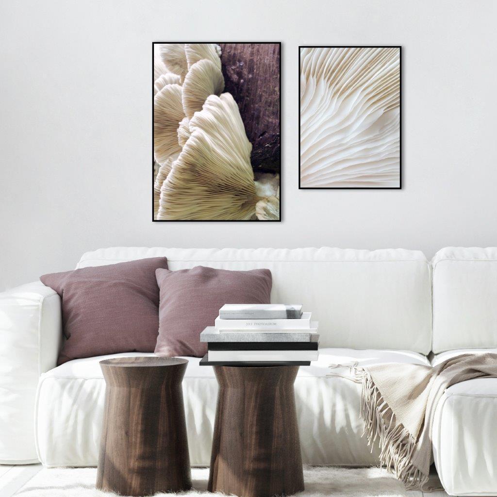 Organische Linien 4 | POSTERBAND