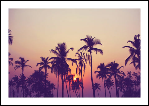 Palmenhimmel 1 | POSTERBAND