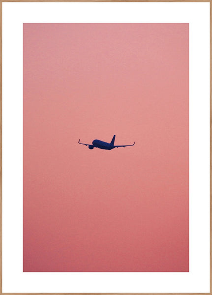 Rosa Flug | POSTERBAND