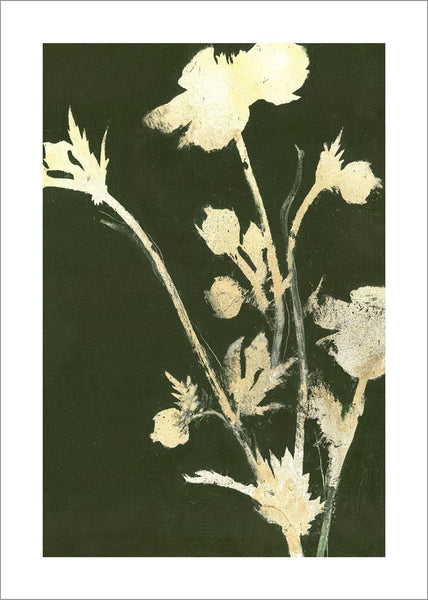 Natur pur 6 | POSTER