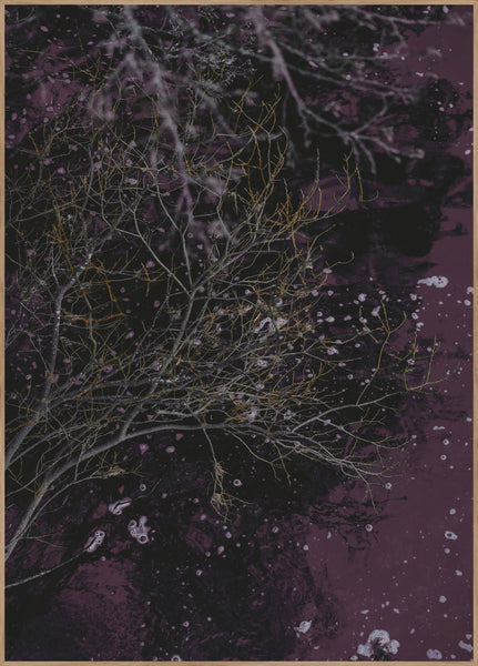 Fluss des Weins | POSTERBAND