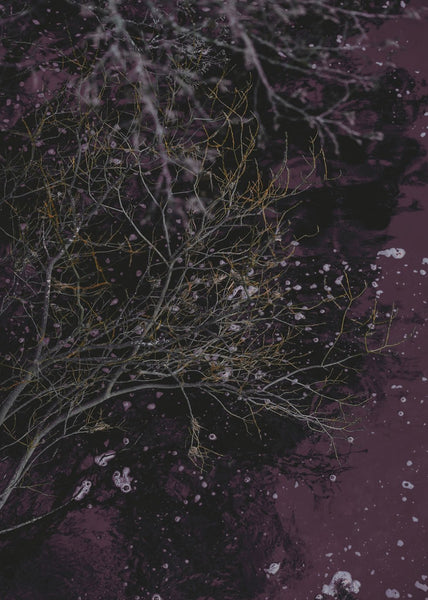 Fluss des Weins | POSTERBAND