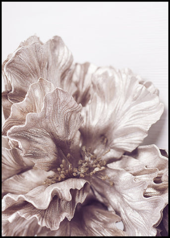 Sigma 1 | POSTERBAND