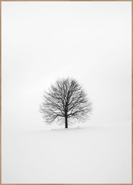 Einsam 1 | Plakatbrett