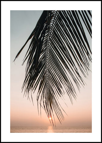 Sonnenuntergang verlässt | POSTERBAND