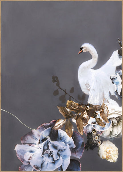 Schwan Gold 1 | POSTERBAND
