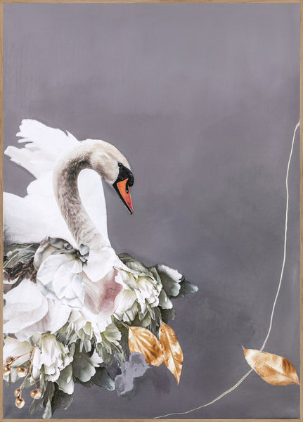 Schwan Gold 2 | POSTERBAND