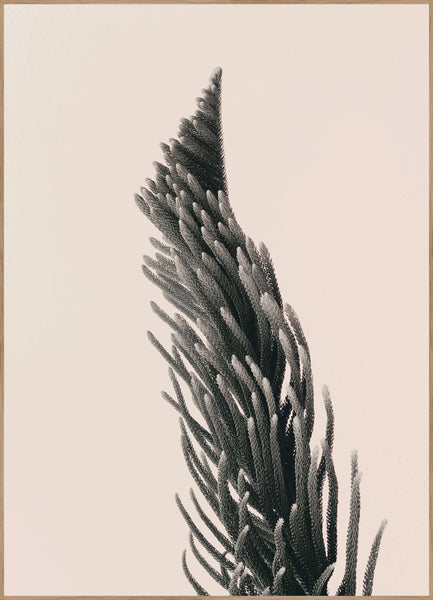 Nach oben 1 | Plakatbrett