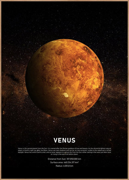 Venus | POSTERBAND
