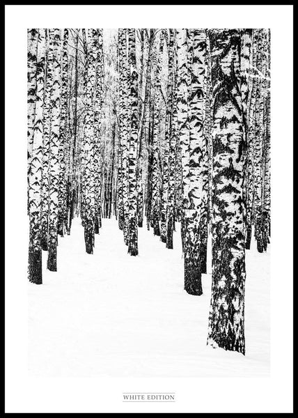 Weiße Ausgabe 2 | POSTERBAND