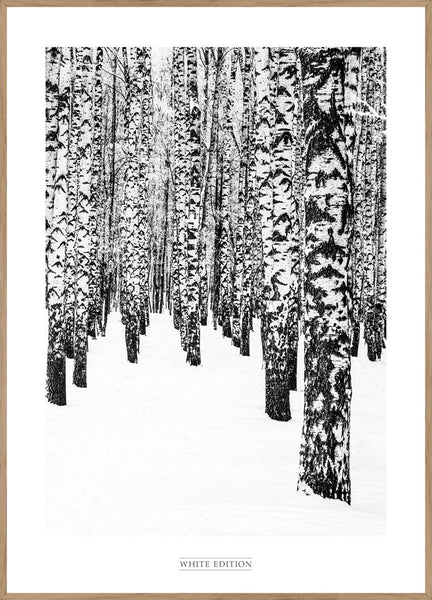 Weiße Ausgabe 2 | POSTERBAND