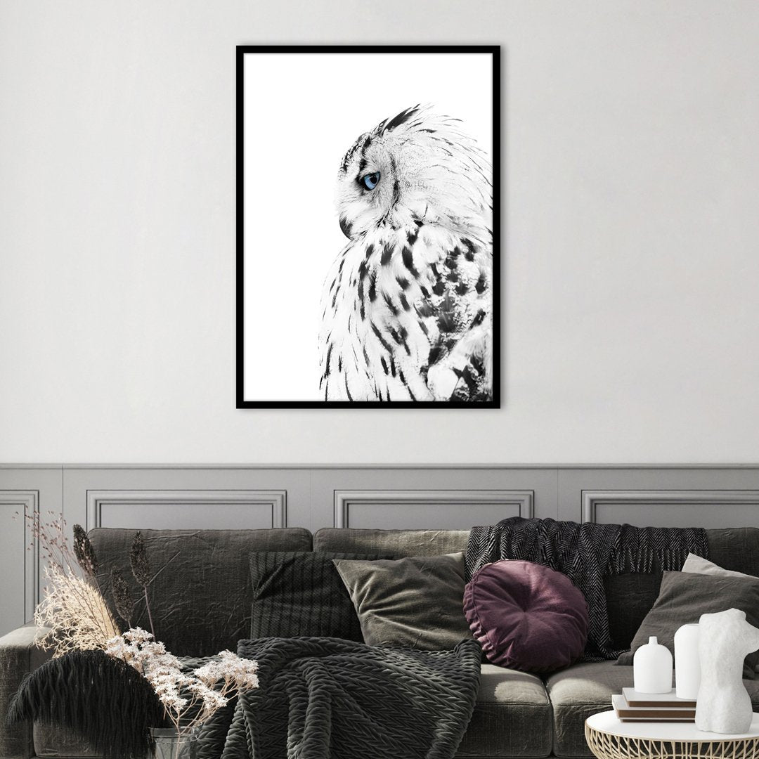 Weiße Eule | POSTER