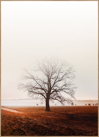 Graceland | POSTERBAND