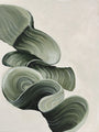 Rohe Essenz | UNIKA-BILD 90x120